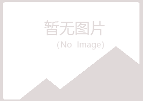 大庆大同靖易化学有限公司